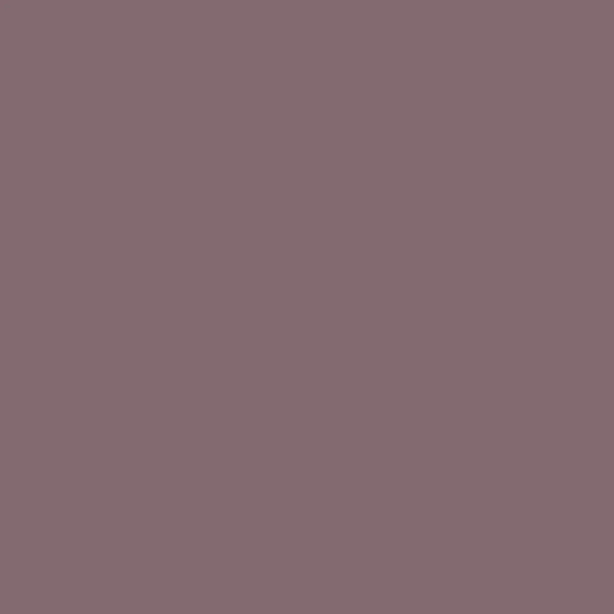 Shorts|Shorts|Passenger 365 Organic Cotton Short - Grape