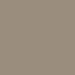 Shorts|Bottoms|Passenger 365 Trail Short - Chinchilla Brown ChinchillaBrown