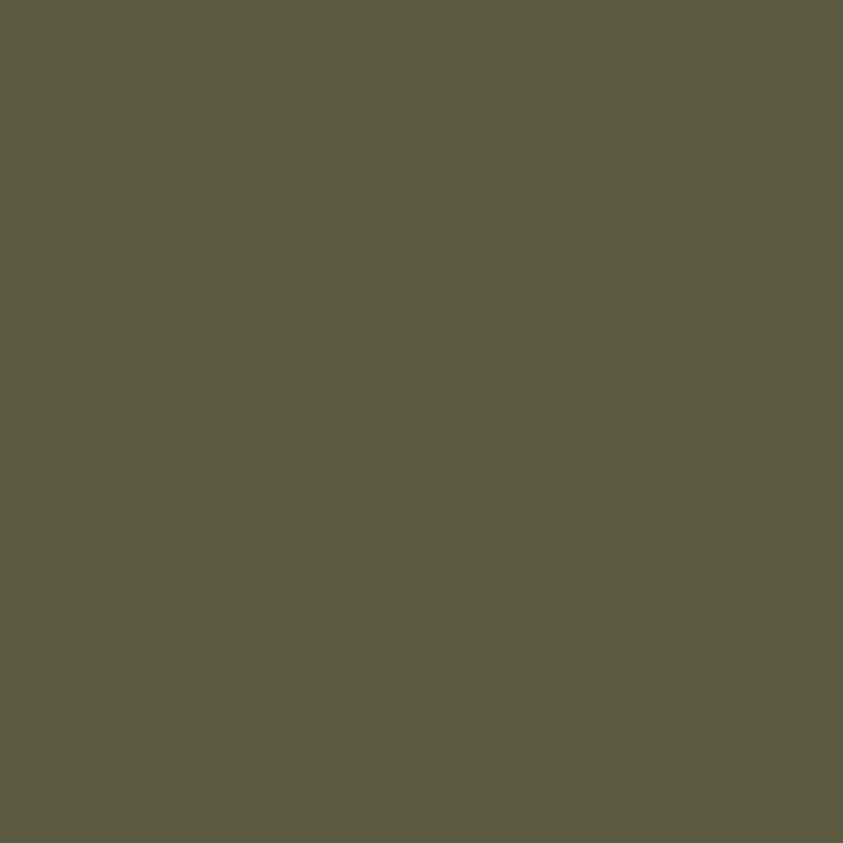 Shorts|Bottoms|Passenger 365 Trail Short - Khaki Green KhakiGreen