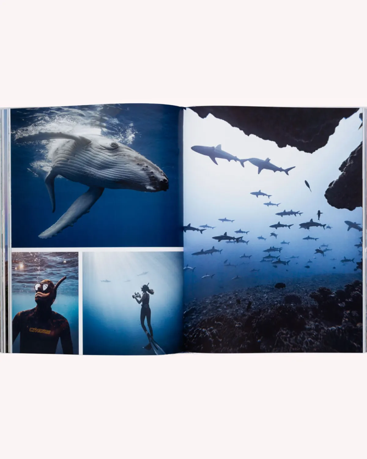 Books & Magazines|Passenger Boatlife