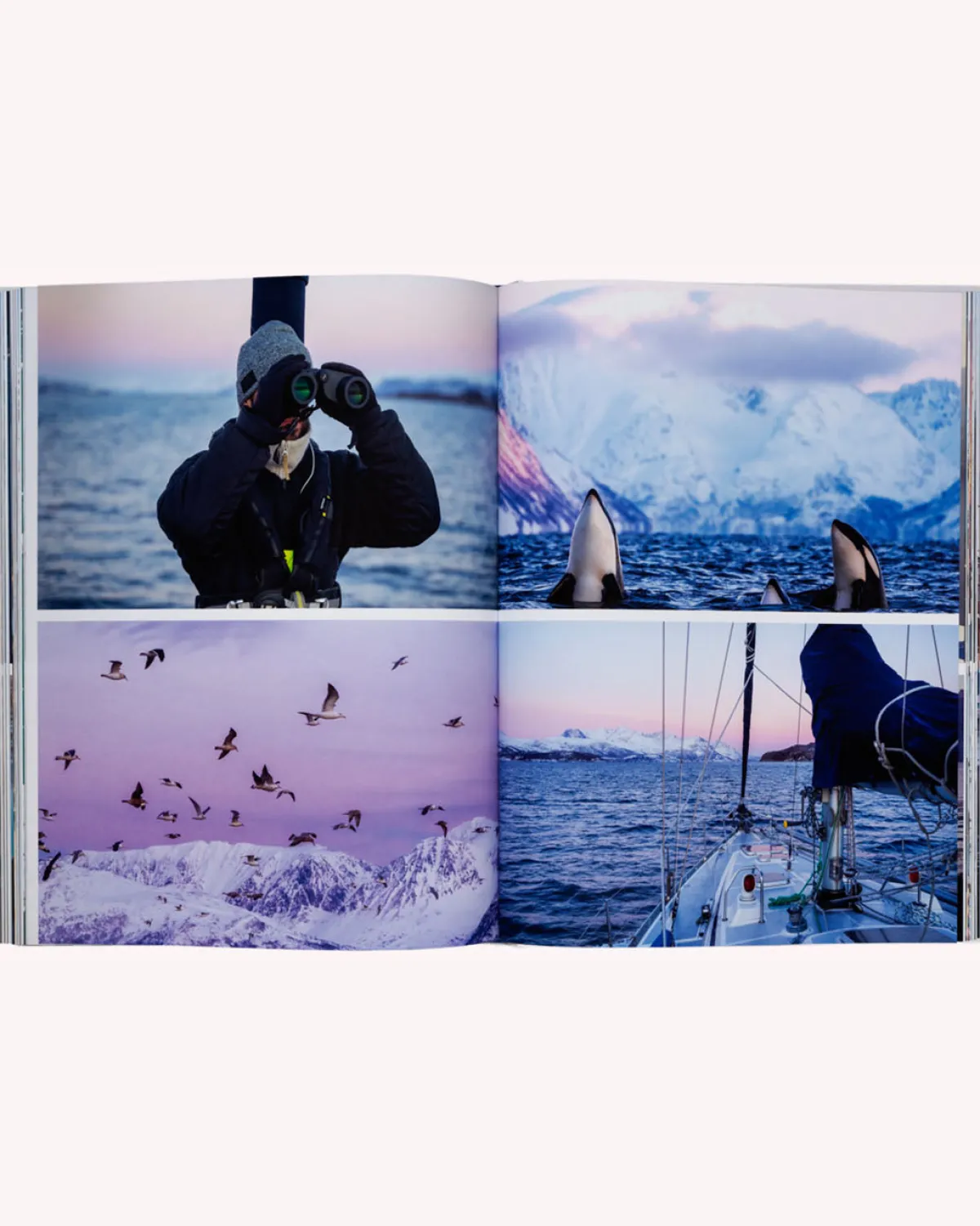 Books & Magazines|Passenger Boatlife