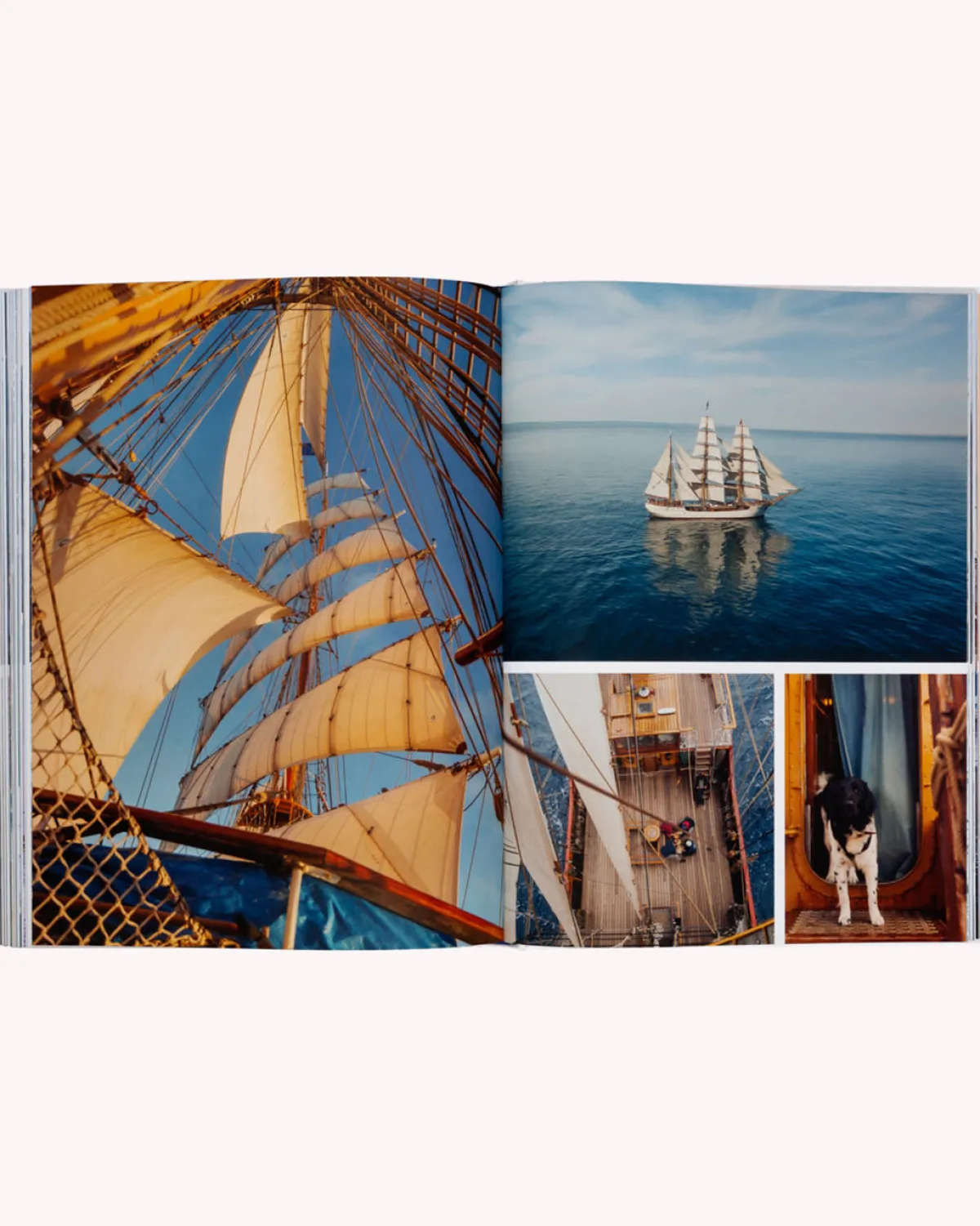 Books & Magazines|Passenger Boatlife