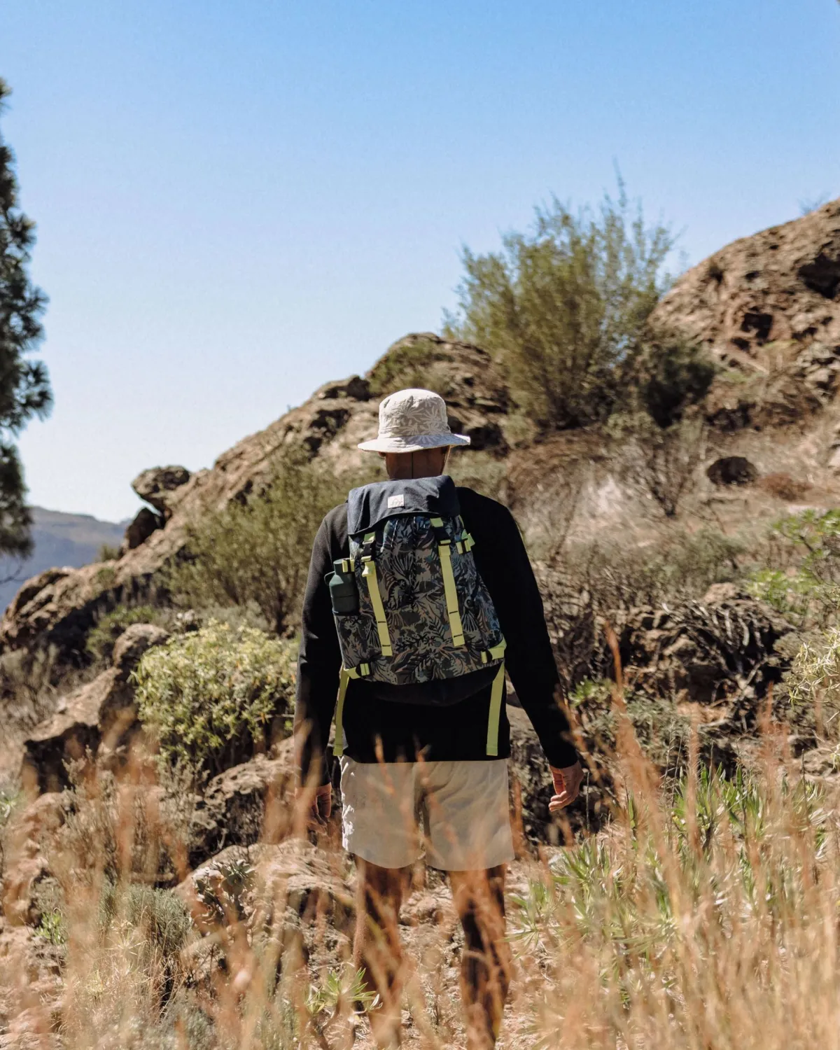 Surf Accessories|Backpacks & Bags|Passenger Boondocker Recycled 26L Backpack - Abstract Seaweed Pistachio AbstractSeaweedPistachio