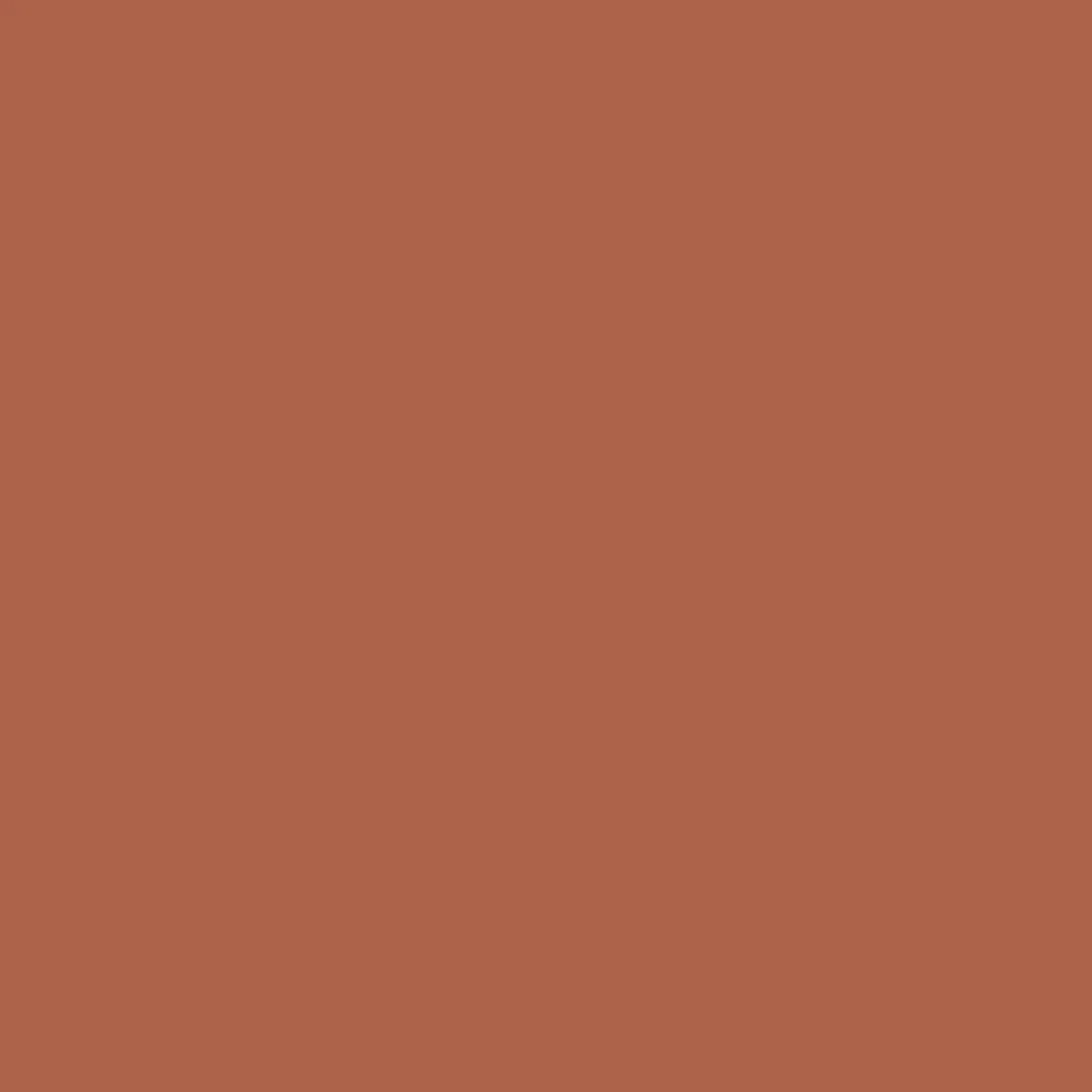 Shorts|Shorts|Passenger Breaks Recycled Boardshort - Burnt Orange BurntOrange
