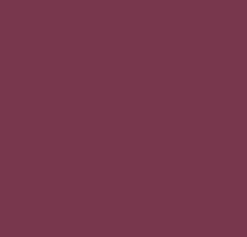 Shorts|Shorts|Passenger Carriso Organic Cotton Shorts - Cranberry