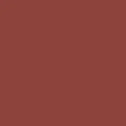 T-Shirts & Tank Tops|T-Shirts & Tank Tops|Passenger Escapism Recycled Cotton T-Shirt - Burnt Red BurntRed
