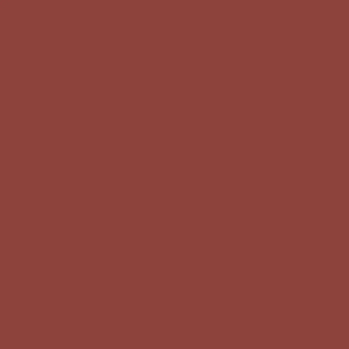 T-Shirts & Tank Tops|T-Shirts & Tank Tops|Passenger Escapism Recycled Cotton T-Shirt - Burnt Red BurntRed