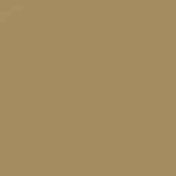 T-Shirts & Tank Tops|T-Shirts & Tank Tops|Passenger Escapism Recycled Cotton T-Shirt - Mustard Gold MustardGold