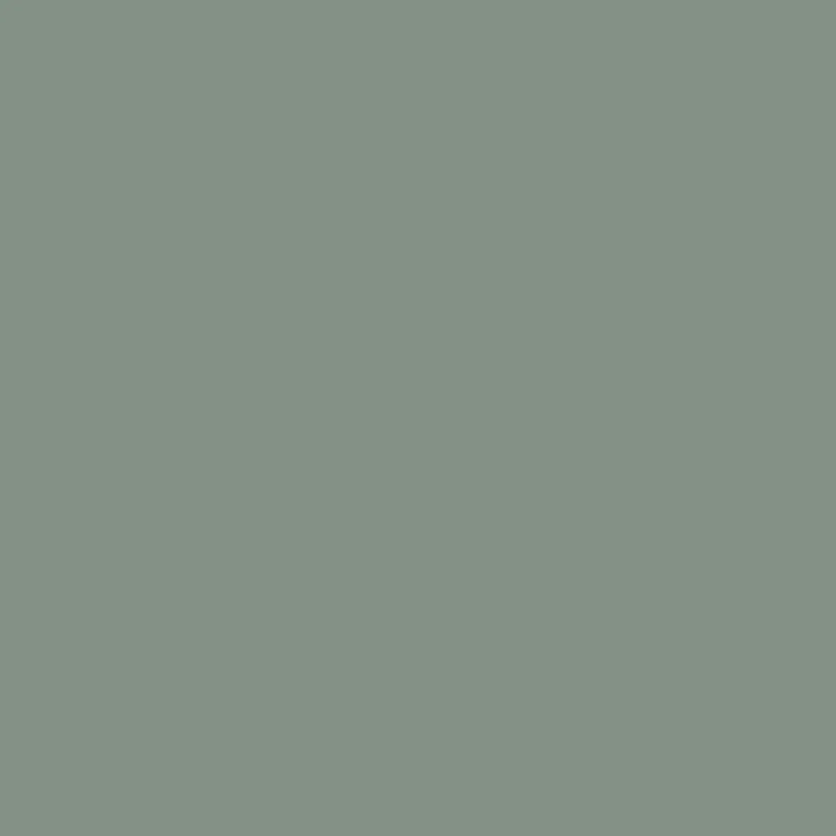 Pants|Overalls & Pants|Passenger Hydrilla Organic Cotton Pant - Pistachio