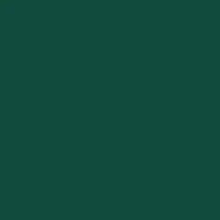 Outdoor Kitchenware|Passenger Ocean Bottle Brew Flask 350ml - Forest Green PassengerForestGreen