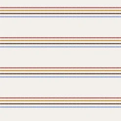Tank Tops|Passenger Retro Vibes Organic Cotton Tank Top - Retro Stripe RetroStripe