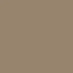 Shorts|Shorts|Passenger Santosa Twill Shorts - Biscuit