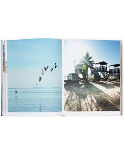 Books & Magazines|Passenger The Getaways TheGetaways