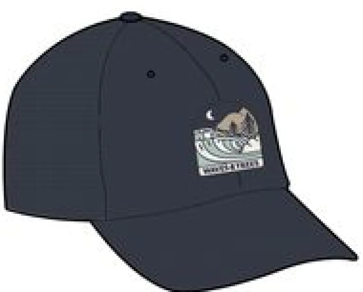 Hats & Caps|Passenger Waves u0026 Trees Organic Cotton Trucker Hat - Charcoal