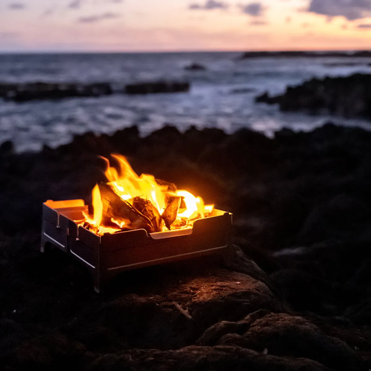 Outdoor Kitchenware|Passenger Wolf and Grizzly Fire Safe - Stainless Steel StainlessSteel