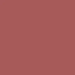 T-Shirts & Tank Tops|Passenger Yuca Recycled Cotton T-Shirt - Mineral Red MineralRed
